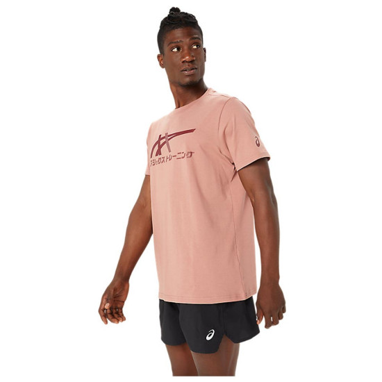 Asics Ανδρική κοντομάνικη μπλούζα Tiger Tee Asics Ανδρική κοντομάνικη μπλούζα Tiger Tee